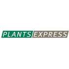 Plants Express Plants Express