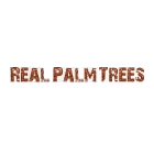 Real Palm Trees Real Palm Trees