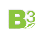 Baumgartens B3 Baumgartens B3