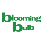 Blooming Bulb Blooming Bulb