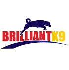 Brilliant K9 Brilliant K9