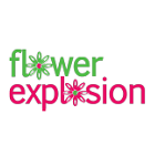 Flower Explosion Flower Explosion