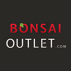 Bonsai Outlet Bonsai Outlet