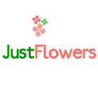 Just Flowers Just Flowers